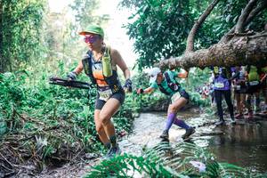 BIB: 
                            <button type="button" onclick="openModal(25459690)" class="btn btn-primary btn-sm float-right btn-popup" data-toggle="modal" data-target=".modal-high-quality">
                        <i class="fas fa-shopping-cart"></i> Add to Cart
                    </button>
                                            <button type="button" onclick="isThisMe(25459690, true)" class="btn btn-success btn-sm float-right btn-popup btn-isme hidden" data-toggle="tooltip" data-placement="bottom" title="นี่คือรูปของคุณใช่ไหม คลิกที่นี่เพื่อเอาเข้าอัลบั้ม">
                        <i class="fas fa-plus"></i> Add to album
                    </button>
                    <button type="button" onclick="isThisMe(25459690, false)" class="btn btn-warning btn-sm float-right btn-popup btn-isnotme hidden">
                        <i class="fas fa-ban"></i> Remove from album
                    </button>